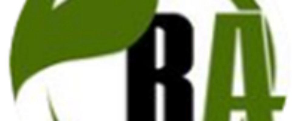 BA ICON
